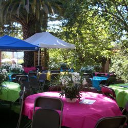 Summer party setup