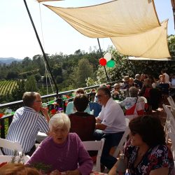 Summer party guests at tables