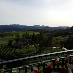 View from estate balcony