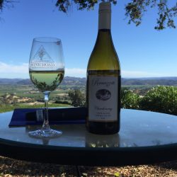 bottle and glass against vineyards