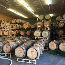 Wine barrels