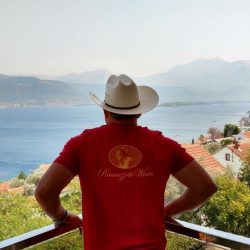 Back of person looking out over balcony to the sea