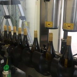 bottles with new corks at processing plant