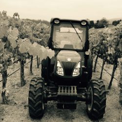 tractor in vineyard