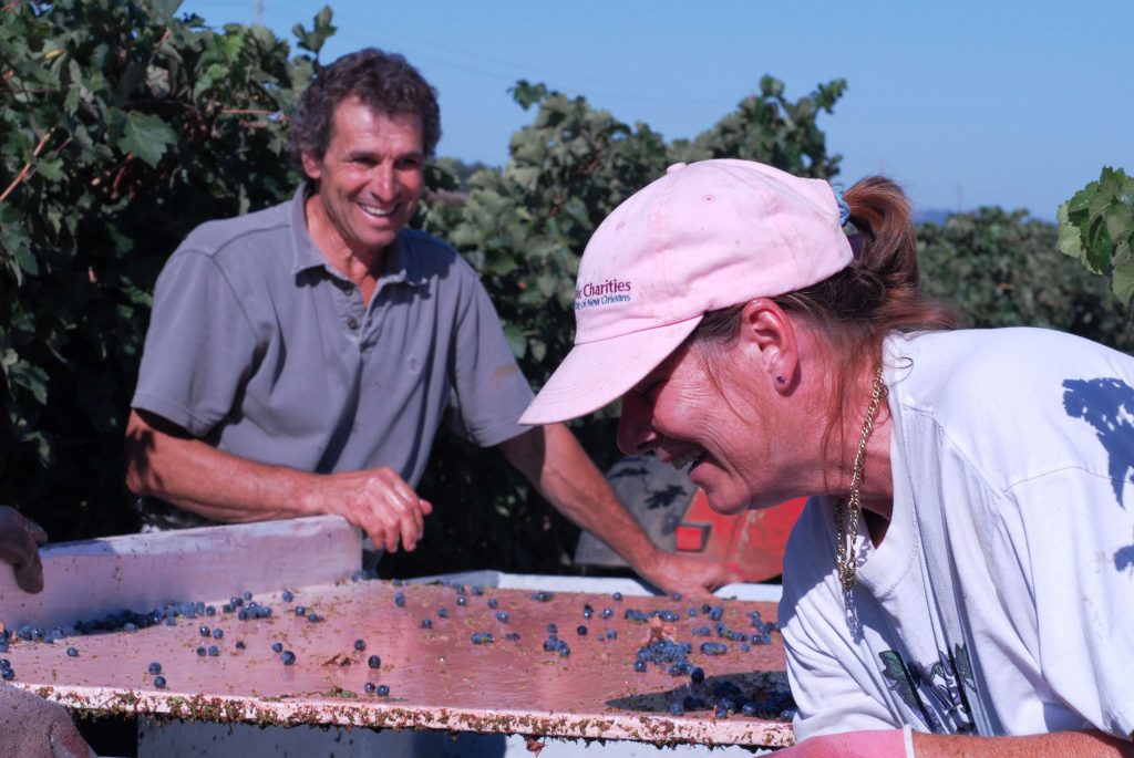 Joe and Norma Ramazzotti sorting grapes