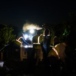 Grapes being harvested at night